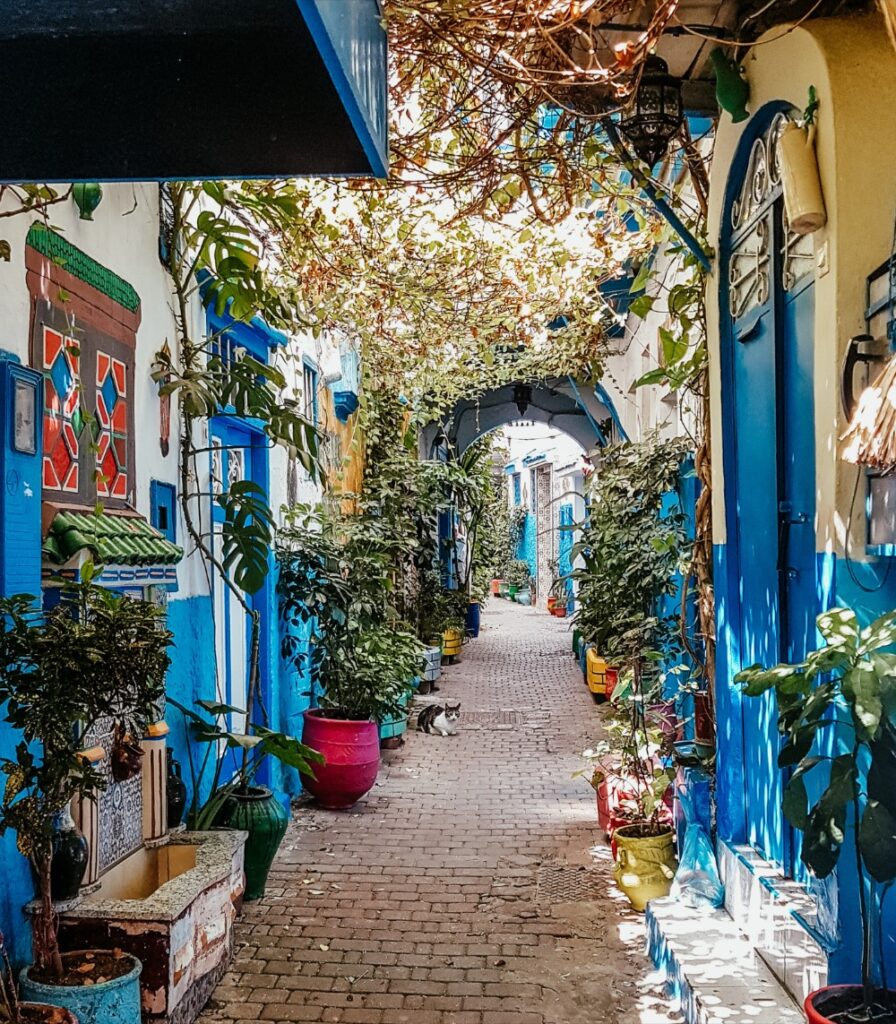 Colorful narrow street in Tarifa old town with plants, blue doors, and traditional Andalusian architecture